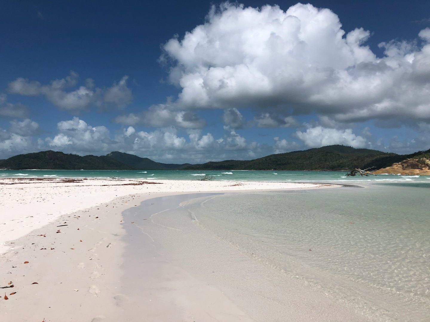 Legni galleggianti su una spiaggia di sabbia bianca vicino all'acqua turchese.